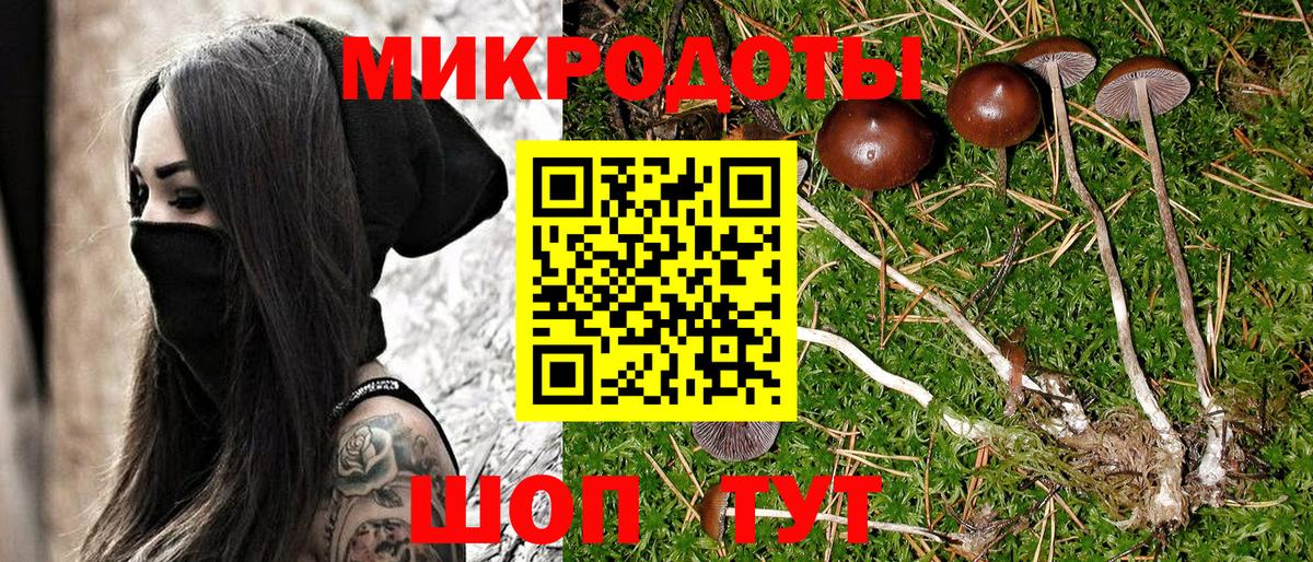 Псилоцибиновые грибы прущие грибы Ступино